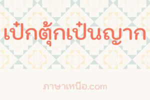 ควี - ภาษาเหนือ แปลว่า ? หมายถึง?